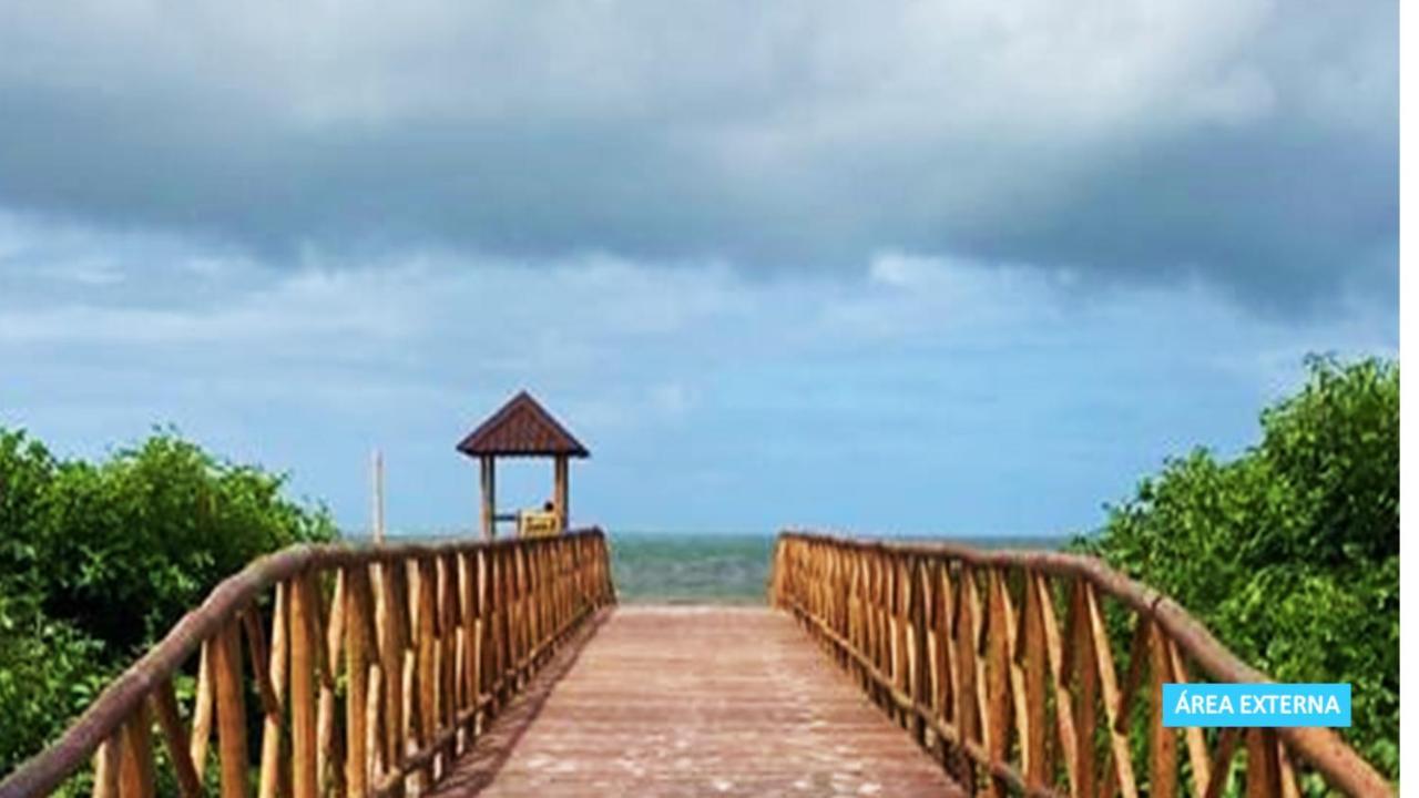 Galé Alagoas -